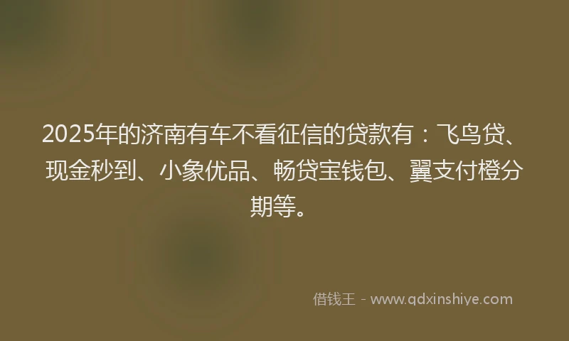 2025年的济南有车不看征信的贷款有：飞鸟贷、现金秒到、小象优品、畅贷宝钱包、翼支付橙分期等。