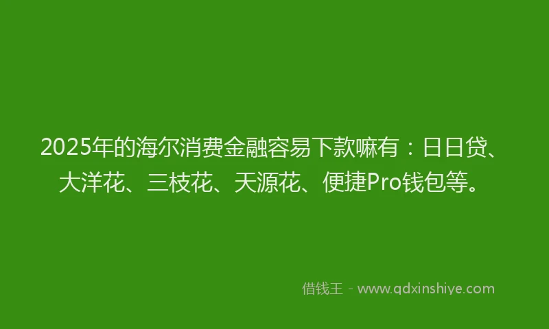 2025年的海尔消费金融容易下款嘛有：日日贷、大洋花、三枝花、天源花、便捷Pro钱包等。