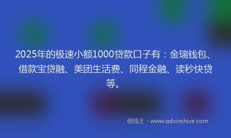 2025年的极速小额1000贷款口子有：金瑞钱包、借款宝贷融、美团生活费、同程金融、读秒快贷等。