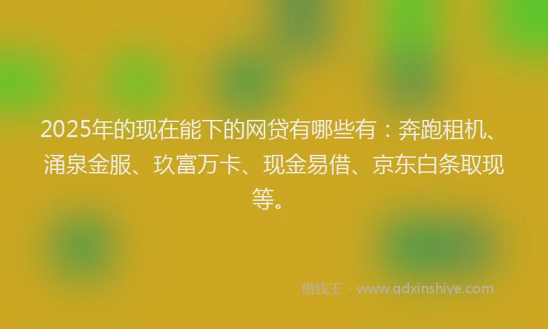 2025年的现在能下的网贷有哪些有：奔跑租机、涌泉金服、玖富万卡、现金易借、京东白条取现等。