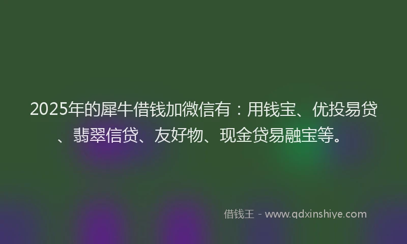 2025年的犀牛借钱加微信有：用钱宝、优投易贷、翡翠信贷、友好物、现金贷易融宝等。
