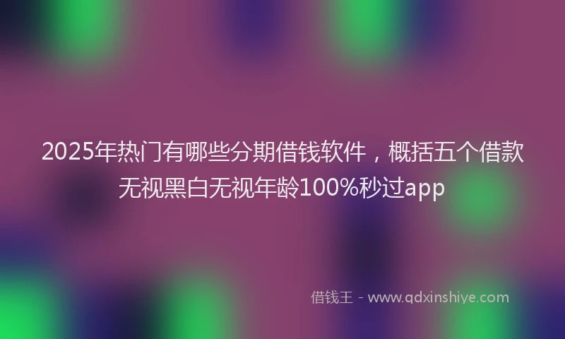 2025年热门有哪些分期借钱软件，概括五个借款无视黑白无视年龄100%秒过app