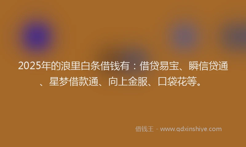 2025年的浪里白条借钱有：借贷易宝、瞬信贷通、星梦借款通、向上金服、口袋花等。