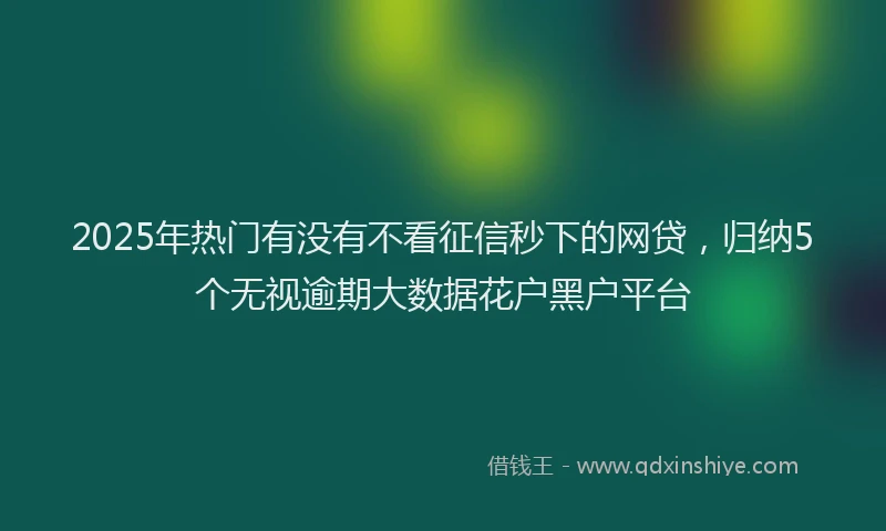 2025年热门有没有不看征信秒下的网贷，归纳5个无视逾期大数据花户黑户平台