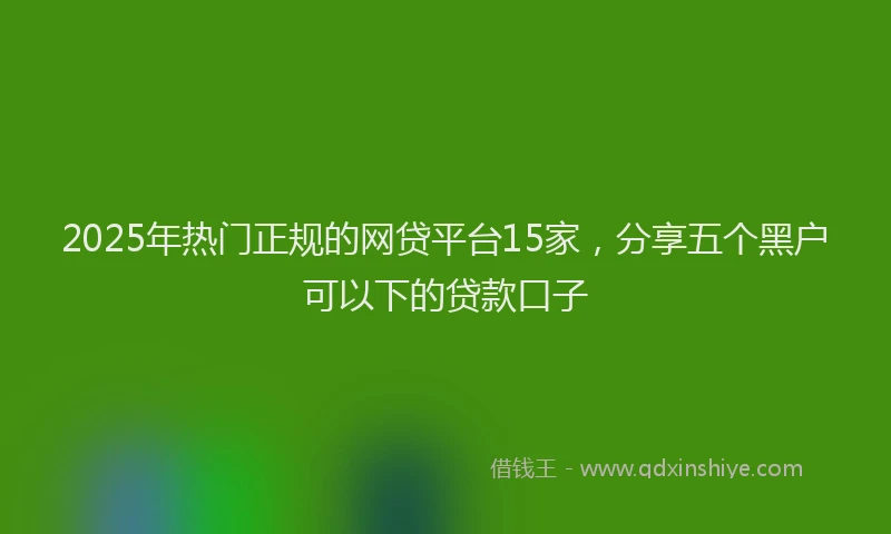 2025年热门正规的网贷平台15家，分享五个黑户可以下的贷款口子