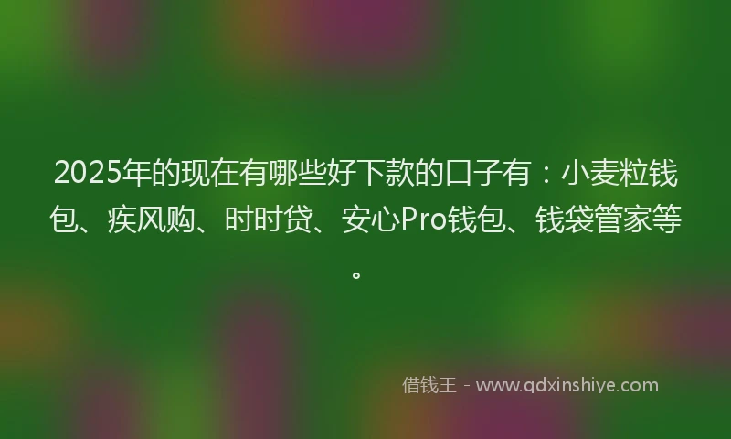 2025年的现在有哪些好下款的口子有：小麦粒钱包、疾风购、时时贷、安心Pro钱包、钱袋管家等。