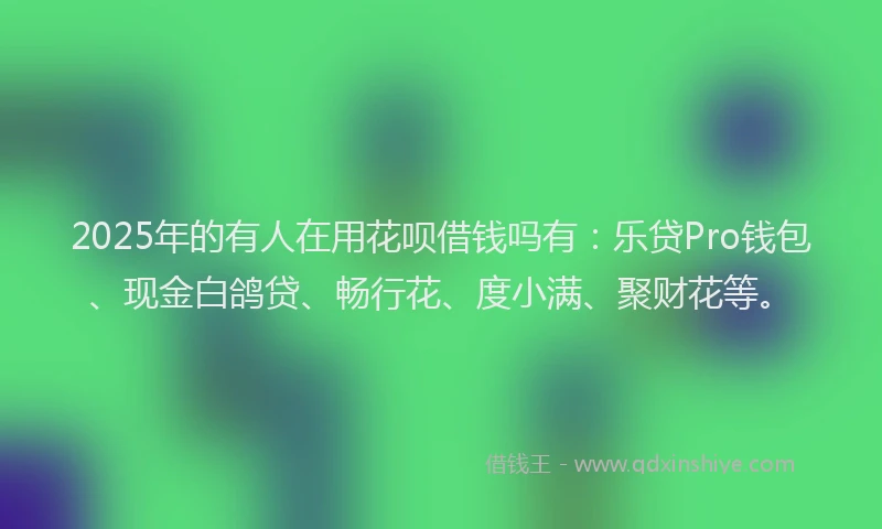 2025年的有人在用花呗借钱吗有：乐贷Pro钱包、现金白鸽贷、畅行花、度小满、聚财花等。