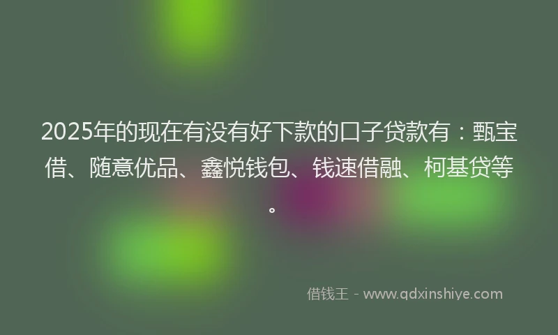 2025年的现在有没有好下款的口子贷款有：甄宝借、随意优品、鑫悦钱包、钱速借融、柯基贷等。