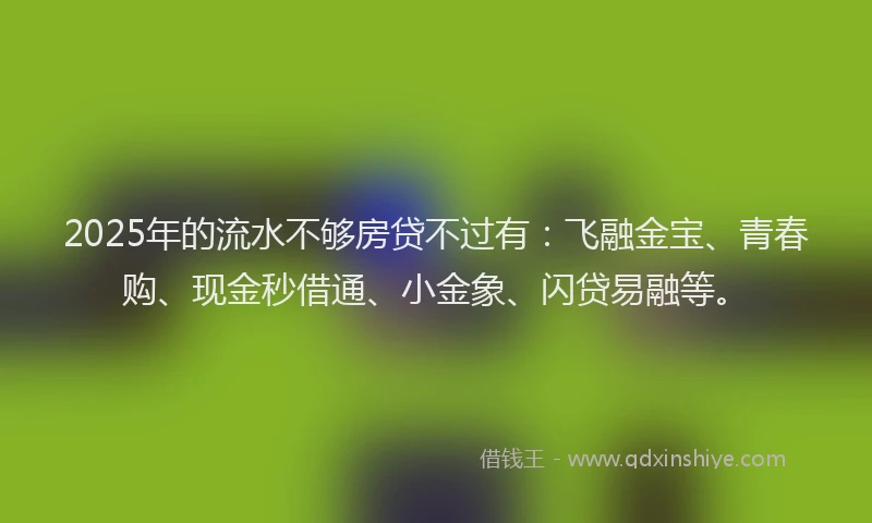 2025年的流水不够房贷不过有：飞融金宝、青春购、现金秒借通、小金象、闪贷易融等。