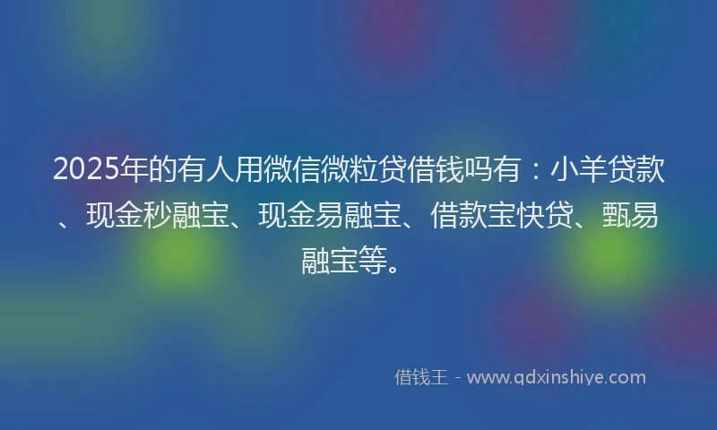 2025年的有人用微信微粒贷借钱吗有：小羊贷款、现金秒融宝、现金易融宝、借款宝快贷、甄易融宝等。