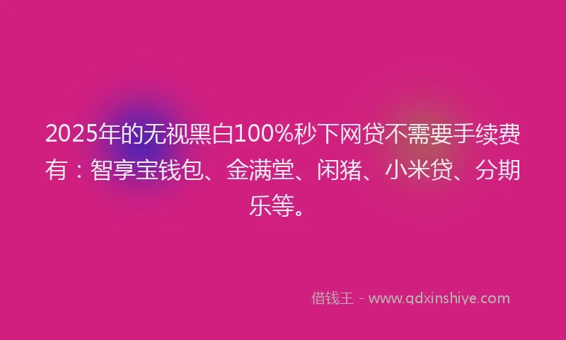 2025年的无视黑白100%秒下网贷不需要手续费有：智享宝钱包、金满堂、闲猪、小米贷、分期乐等。