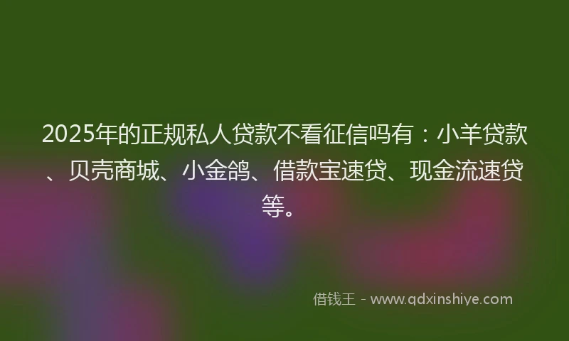 2025年的正规私人贷款不看征信吗有：小羊贷款、贝壳商城、小金鸽、借款宝速贷、现金流速贷等。