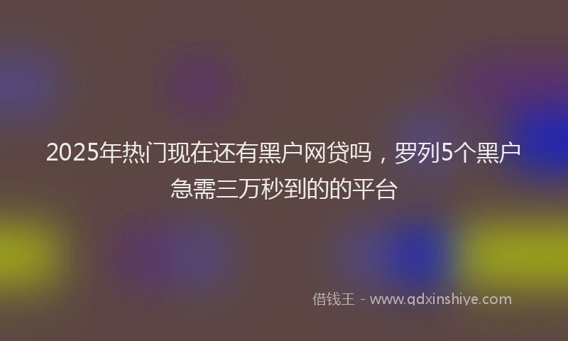 2025年热门现在还有黑户网贷吗，罗列5个黑户急需三万秒到的的平台