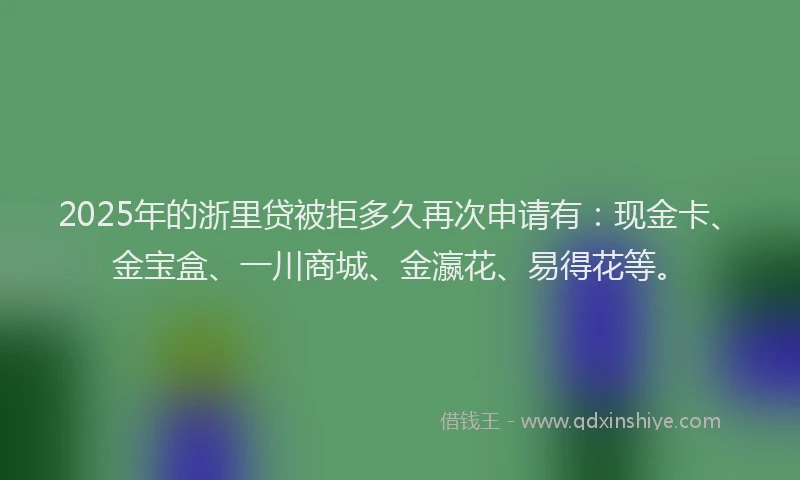 2025年的浙里贷被拒多久再次申请有：现金卡、金宝盒、一川商城、金瀛花、易得花等。