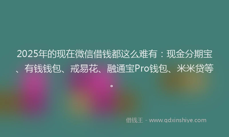2025年的现在微信借钱都这么难有：现金分期宝、有钱钱包、戒易花、融通宝Pro钱包、米米贷等。