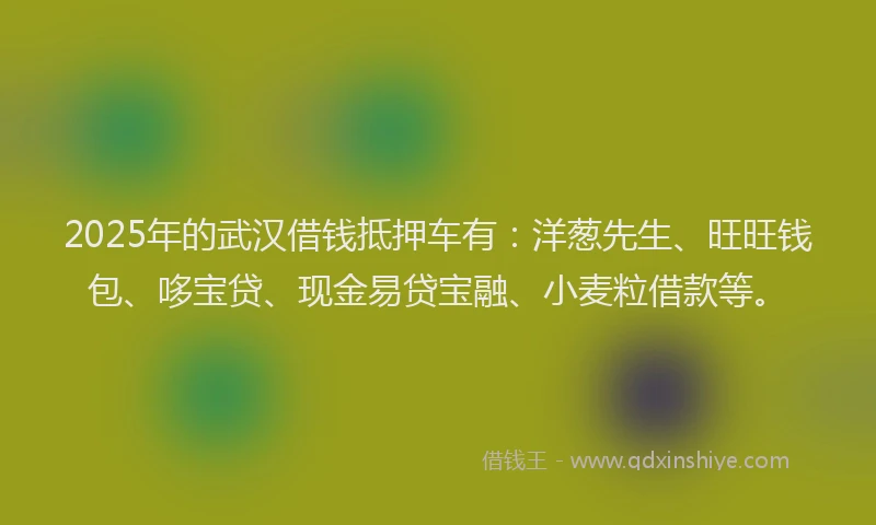 2025年的武汉借钱抵押车有：洋葱先生、旺旺钱包、哆宝贷、现金易贷宝融、小麦粒借款等。