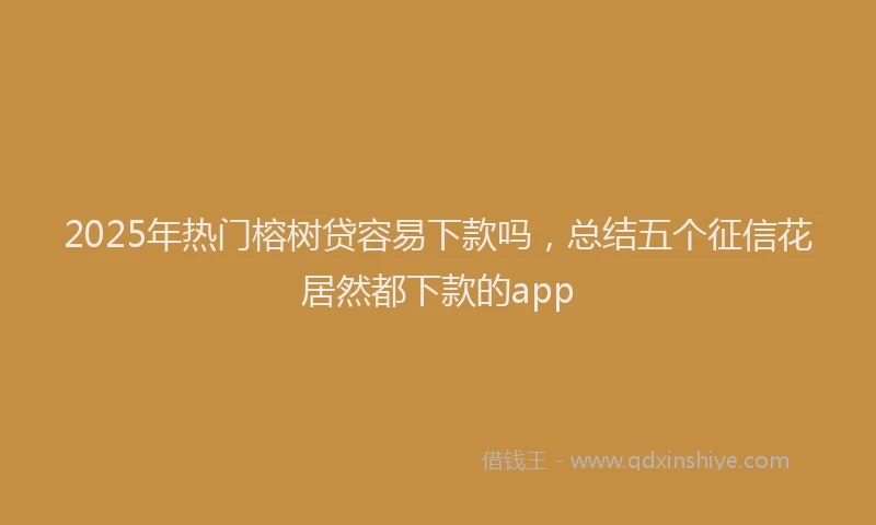 2025年热门榕树贷容易下款吗，总结五个征信花居然都下款的app