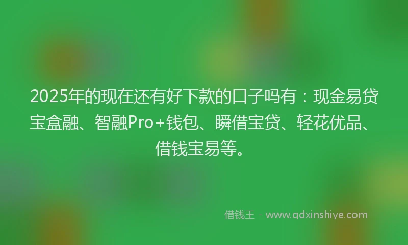 2025年的现在还有好下款的口子吗有：现金易贷宝盒融、智融Pro+钱包、瞬借宝贷、轻花优品、借钱宝易等。