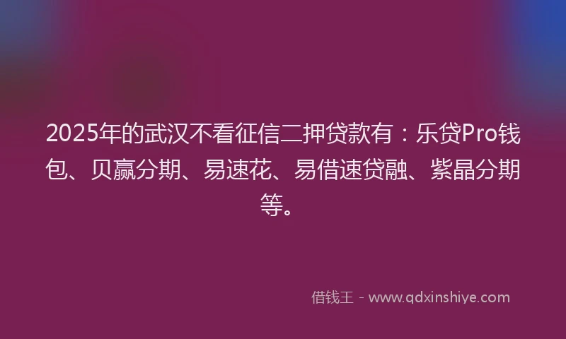 2025年的武汉不看征信二押贷款有：乐贷Pro钱包、贝赢分期、易速花、易借速贷融、紫晶分期等。
