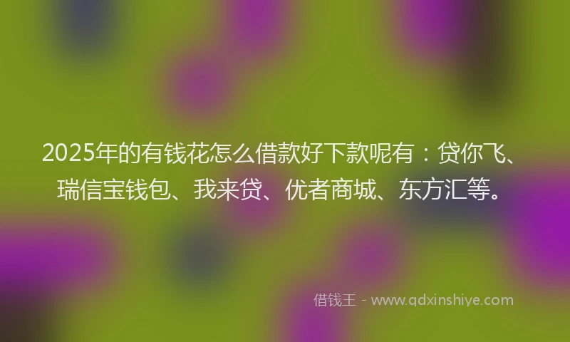 2025年的有钱花怎么借款好下款呢有：贷你飞、瑞信宝钱包、我来贷、优者商城、东方汇等。
