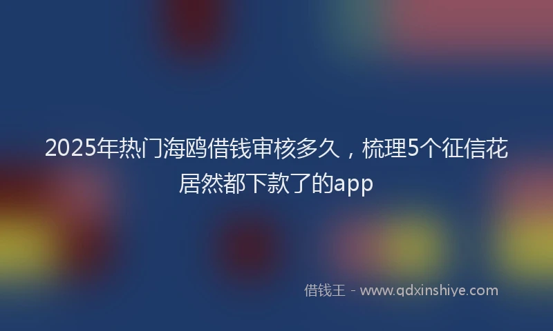 2025年热门海鸥借钱审核多久，梳理5个征信花居然都下款了的app