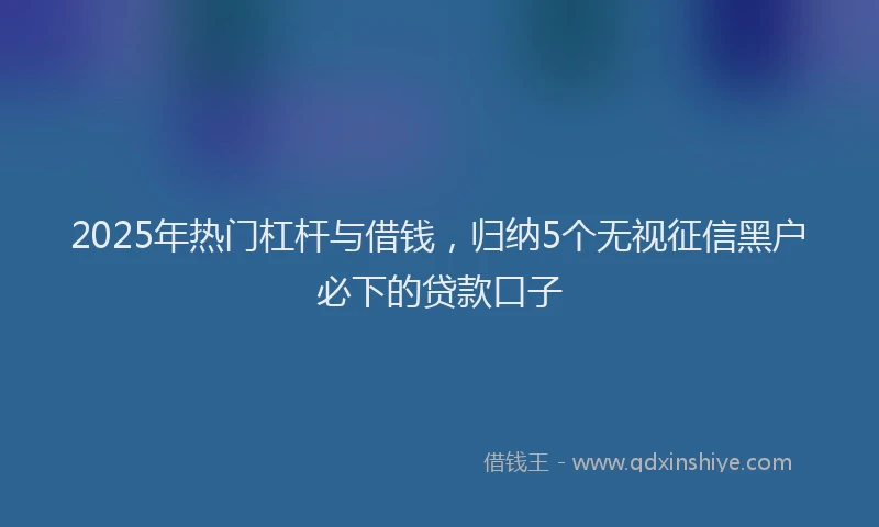 2025年热门杠杆与借钱，归纳5个无视征信黑户必下的贷款口子