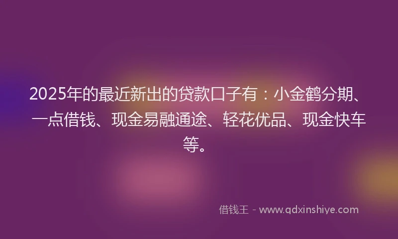 2025年的最近新出的贷款口子有：小金鹤分期、一点借钱、现金易融通途、轻花优品、现金快车等。