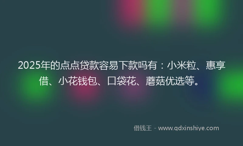 2025年的点点贷款容易下款吗有：小米粒、惠享借、小花钱包、口袋花、蘑菇优选等。