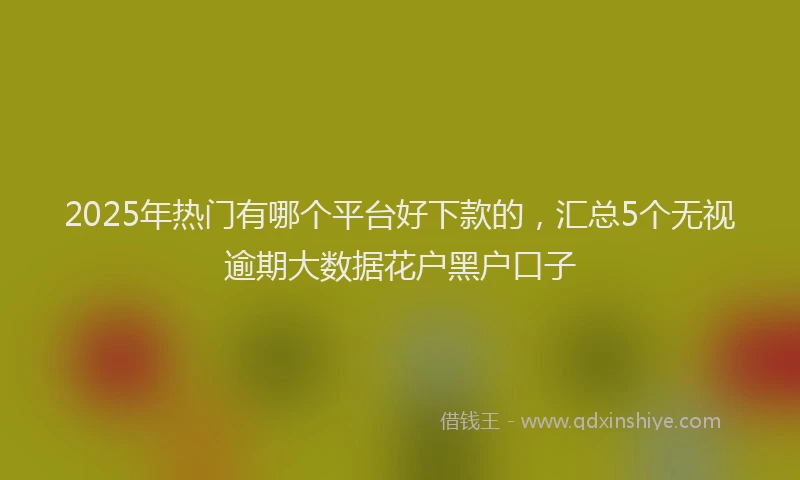 2025年热门有哪个平台好下款的，汇总5个无视逾期大数据花户黑户口子