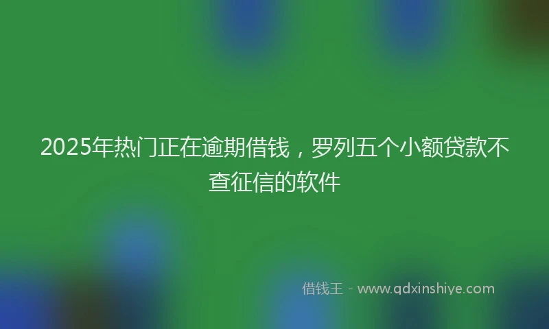 2025年热门正在逾期借钱，罗列五个小额贷款不查征信的软件