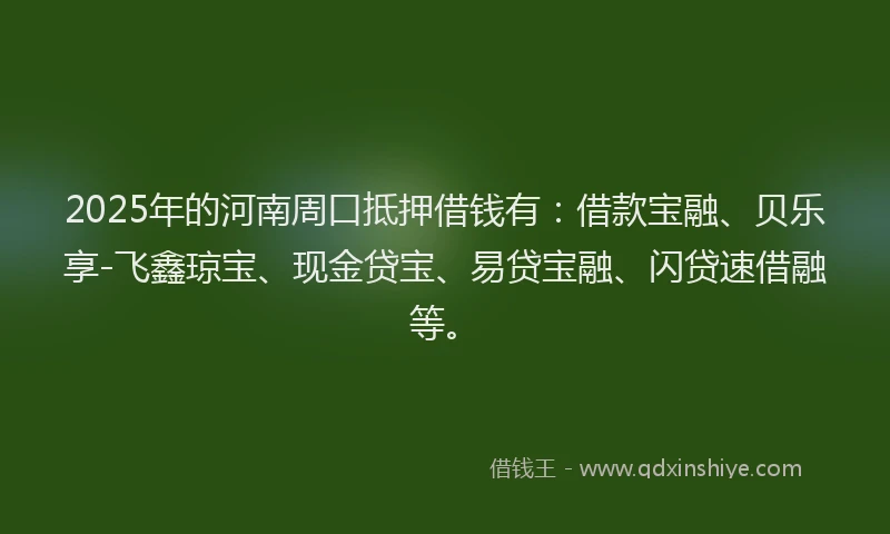 2025年的河南周口抵押借钱有：借款宝融、贝乐享-飞鑫琼宝、现金贷宝、易贷宝融、闪贷速借融等。