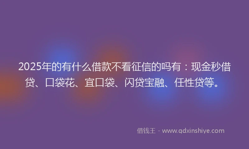 2025年的有什么借款不看征信的吗有：现金秒借贷、口袋花、宜口袋、闪贷宝融、任性贷等。