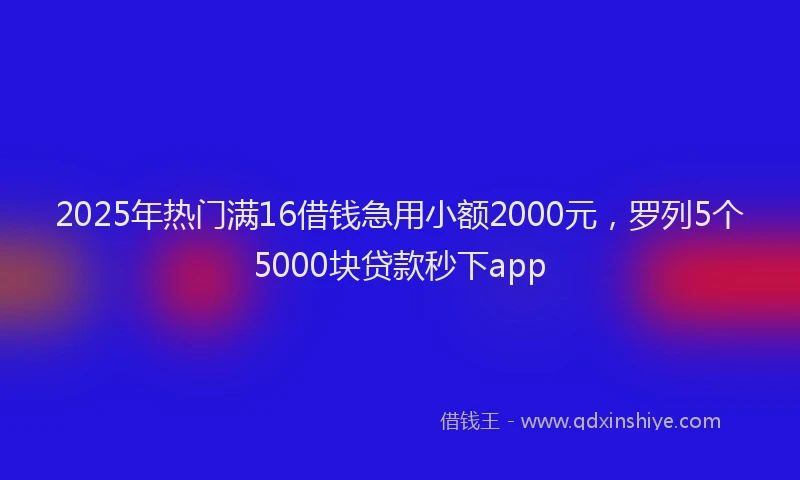2025年热门满16借钱急用小额2000元，罗列5个5000块贷款秒下app