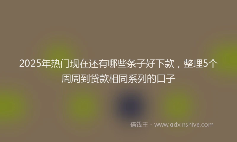 2025年热门现在还有哪些条子好下款，整理5个周周到贷款相同系列的口子