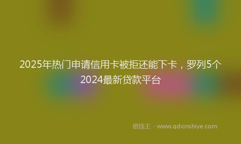 2025年热门申请信用卡被拒还能下卡，罗列5个2024最新贷款平台