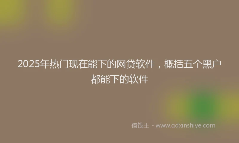 2025年热门现在能下的网贷软件，概括五个黑户都能下的软件