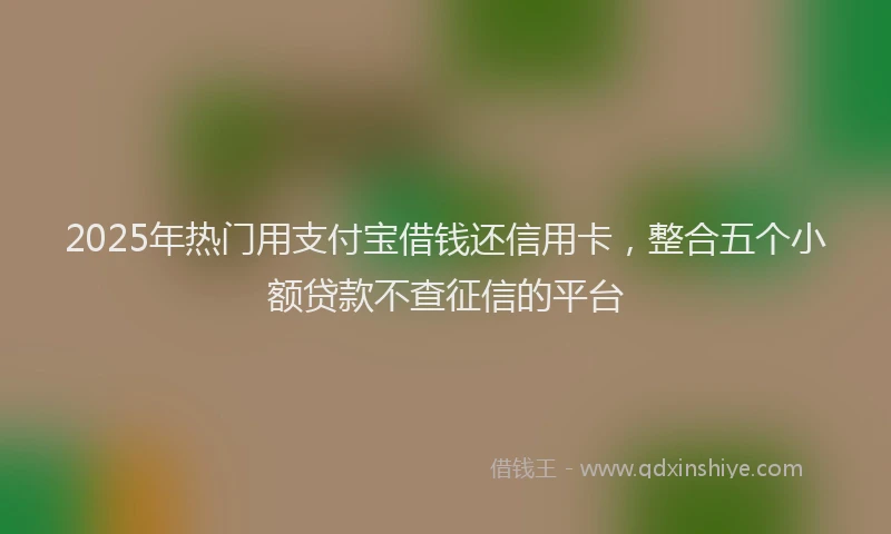 2025年热门用支付宝借钱还信用卡，整合五个小额贷款不查征信的平台