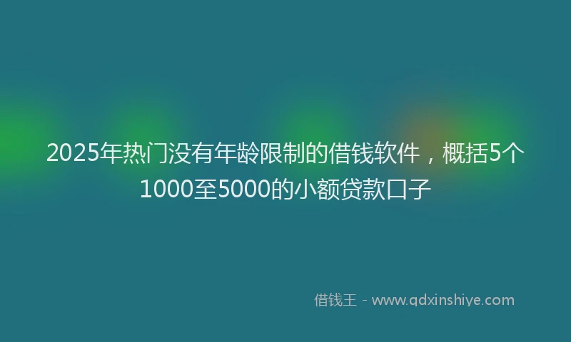 2025年热门没有年龄限制的借钱软件，概括5个1000至5000的小额贷款口子