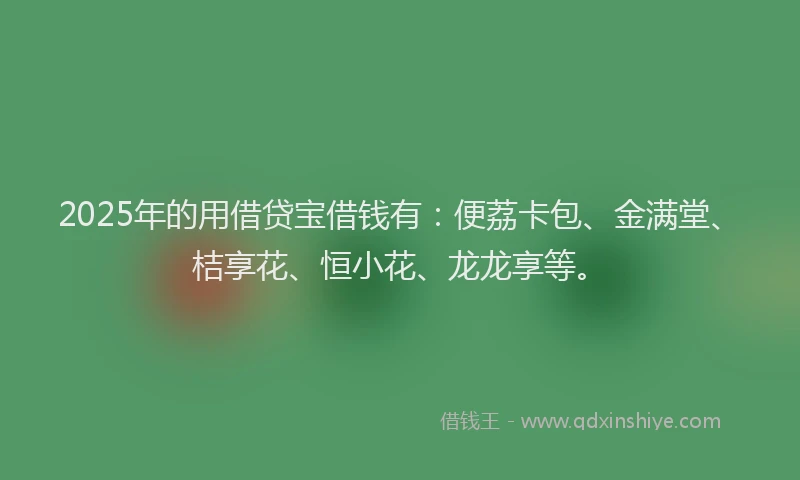 2025年的用借贷宝借钱有：便荔卡包、金满堂、桔享花、恒小花、龙龙享等。