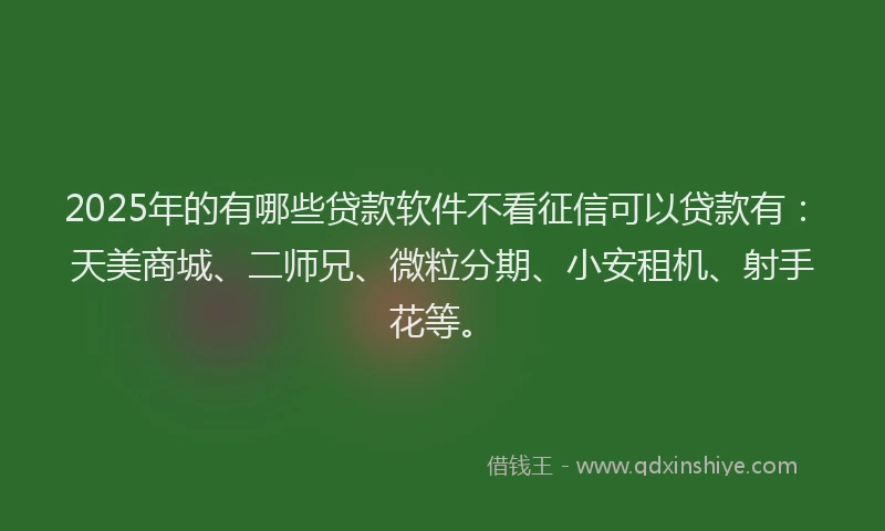 2025年的有哪些贷款软件不看征信可以贷款有：天美商城、二师兄、微粒分期、小安租机、射手花等。