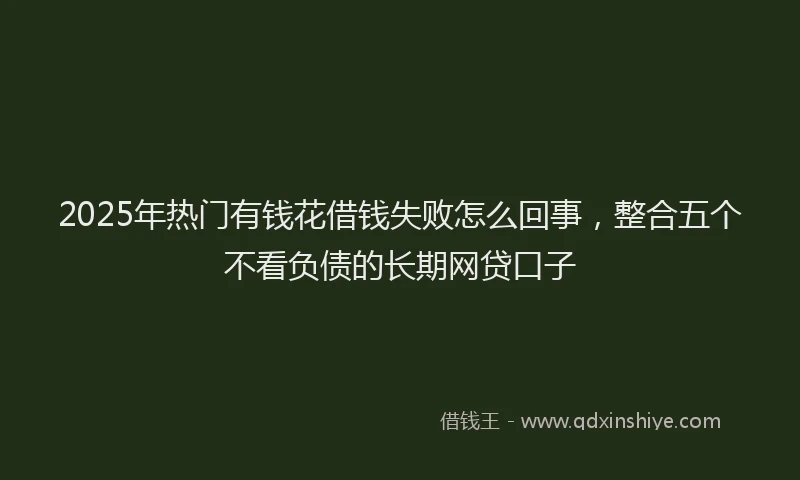 2025年热门有钱花借钱失败怎么回事，整合五个不看负债的长期网贷口子