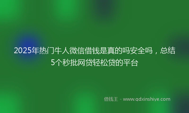 2025年热门牛人微信借钱是真的吗安全吗，总结5个秒批网贷轻松贷的平台