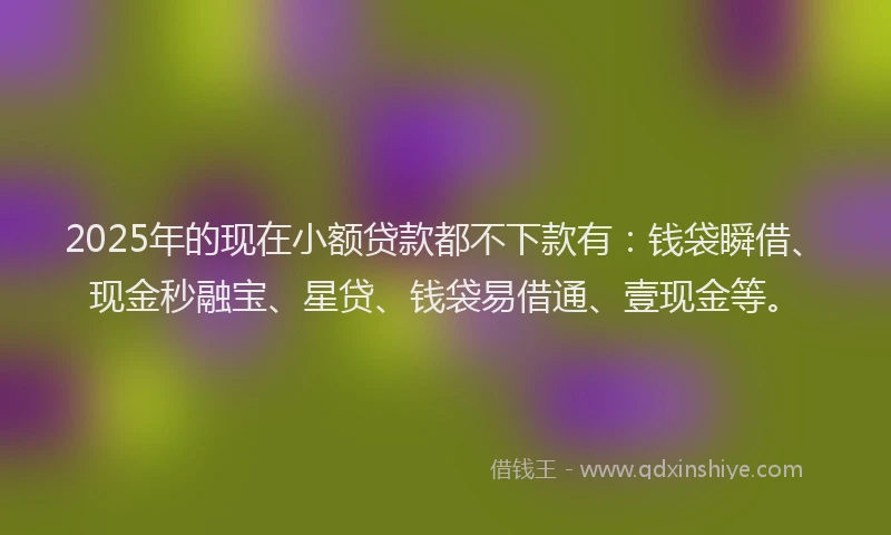 2025年的现在小额贷款都不下款有：钱袋瞬借、现金秒融宝、星贷、钱袋易借通、壹现金等。
