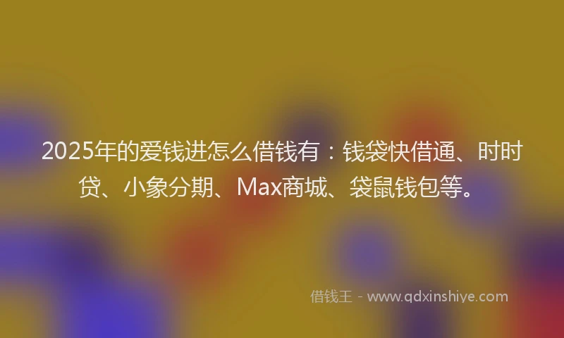 2025年的爱钱进怎么借钱有：钱袋快借通、时时贷、小象分期、Max商城、袋鼠钱包等。