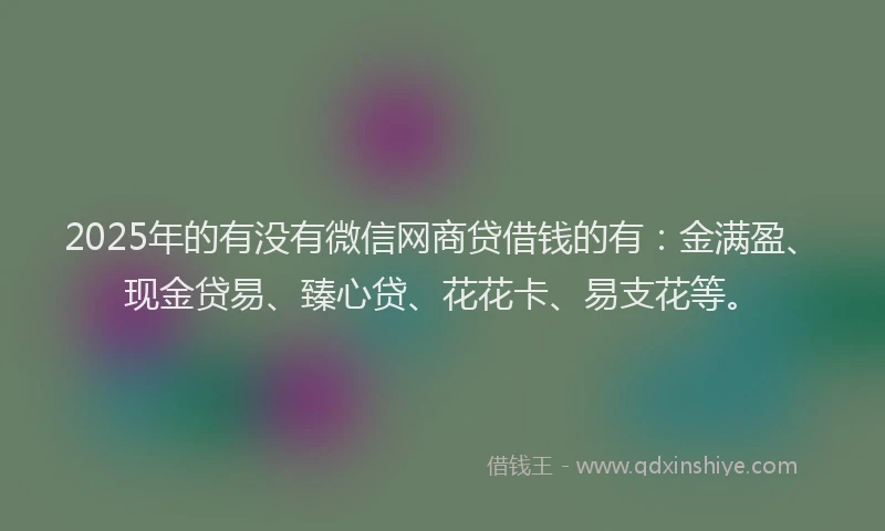 2025年的有没有微信网商贷借钱的有：金满盈、现金贷易、臻心贷、花花卡、易支花等。