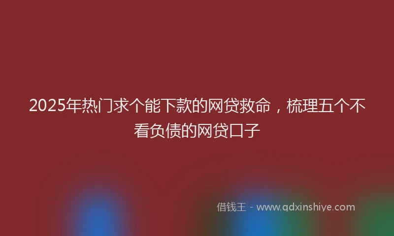 2025年热门求个能下款的网贷救命，梳理五个不看负债的网贷口子