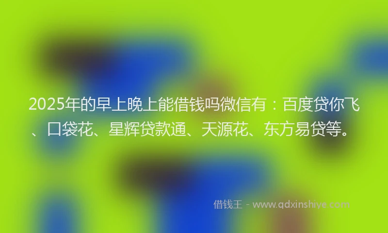 2025年的早上晚上能借钱吗微信有：百度贷你飞、口袋花、星辉贷款通、天源花、东方易贷等。