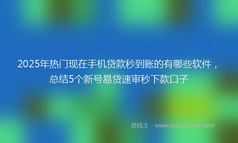 2025年热门现在手机贷款秒到账的有哪些软件，总结5个新号易贷速审秒下款口子
