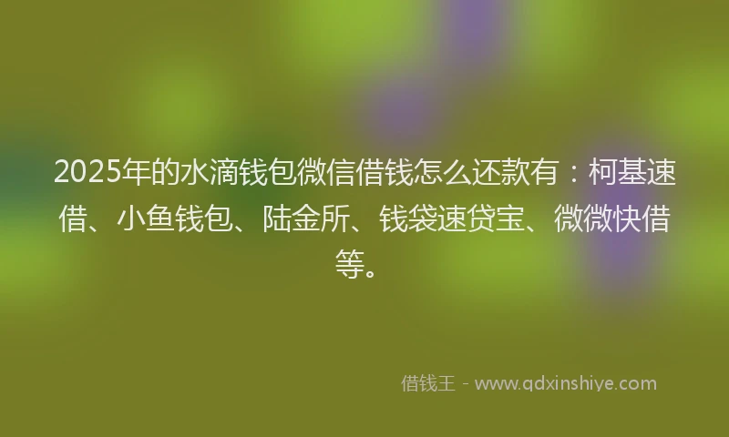 2025年的水滴钱包微信借钱怎么还款有：柯基速借、小鱼钱包、陆金所、钱袋速贷宝、微微快借等。