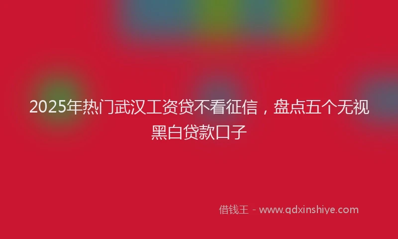 2025年热门武汉工资贷不看征信，盘点五个无视黑白贷款口子